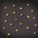 Celebrations LED Micro Dot/Fairy Clear/Warm White 20 ct Novelty Christmas Lights 6.2 ft., Pack of 12