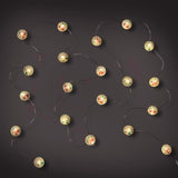 Celebrations LED Micro Dot/Fairy Clear/Warm White 20 ct Novelty Christmas Lights 6.2 ft., Pack of 12