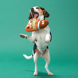 Bark Multicolored Plush Tail Mix Dog Toy 1 pk, Pack of 3