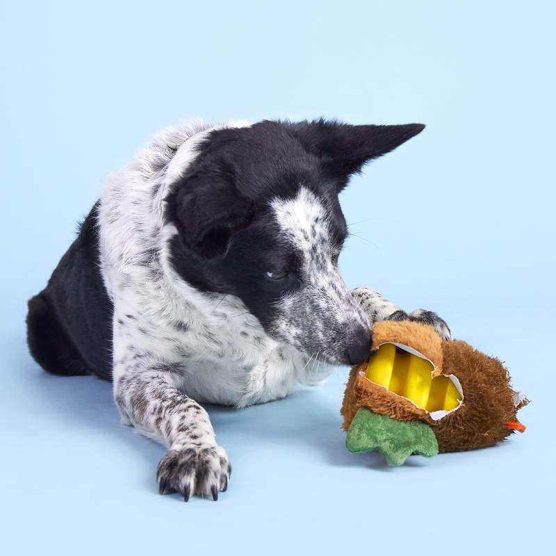 Bark Rubber Hen Dog Toy 1 pk, Pack of 3