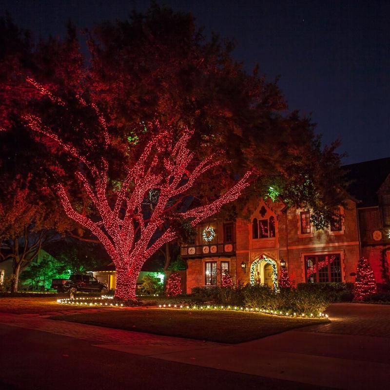 Celebrations Platinum LED T5 Red 50 ct String Christmas Lights 25 ft.