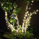 Celebrations Platinum LED T5 Warm White 50 ct String Christmas Lights 25 ft.
