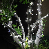 Celebrations Platinum LED T5 Pure White 50 ct String Christmas Lights 25 ft.