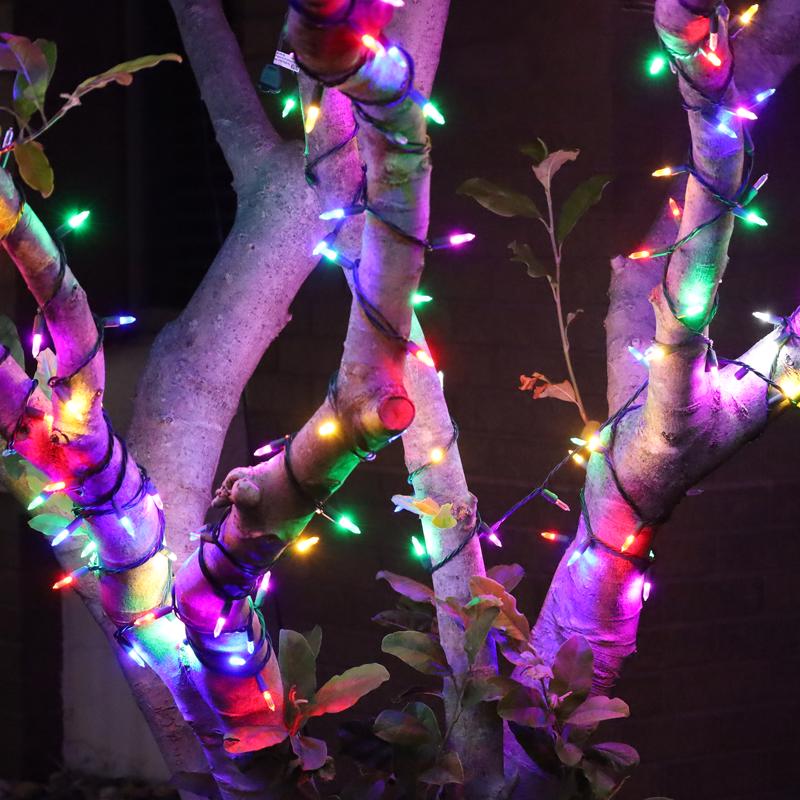 Celebrations Platinum LED T5 Multicolored 50 ct String Christmas Lights 25 ft.