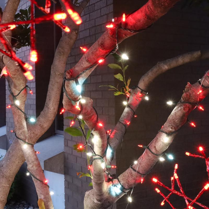 Celebrations Platinum LED T5 Red/White 50 ct String Christmas Lights 25 ft.