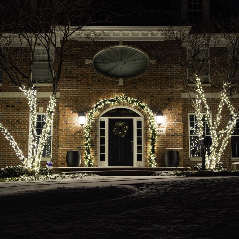 Celebrations Platinum LED C6 Warm White 50 ct String Christmas Lights 25 ft., Pack of 12