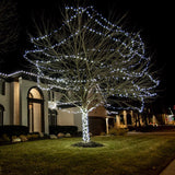 Celebrations Platinum LED C6 Pure White 50 ct String Christmas Lights 25 ft.