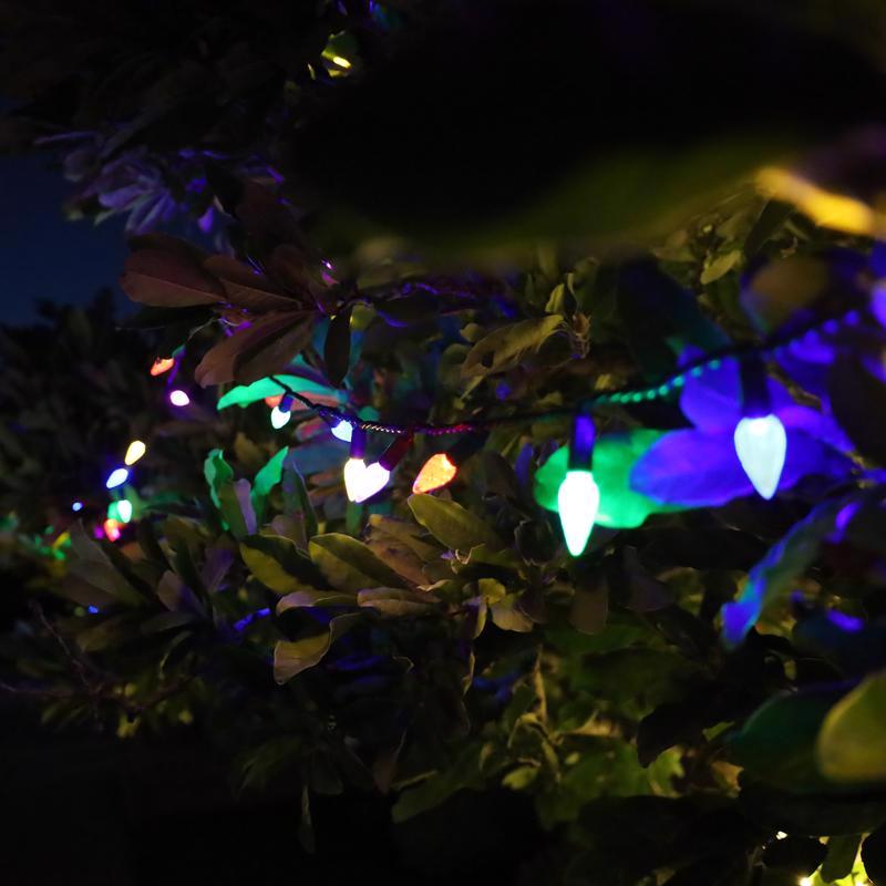 Celebrations Platinum LED C6 Multicolored 50 ct String Christmas Lights 25 ft., Pack of 12