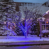 Celebrations Platinum LED C6 Blue 50 ct String Christmas Lights 25 ft.