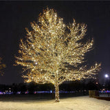 Celebrations Platinum LED Mini Dot Warm White 50 ct String Christmas Lights 25 ft.