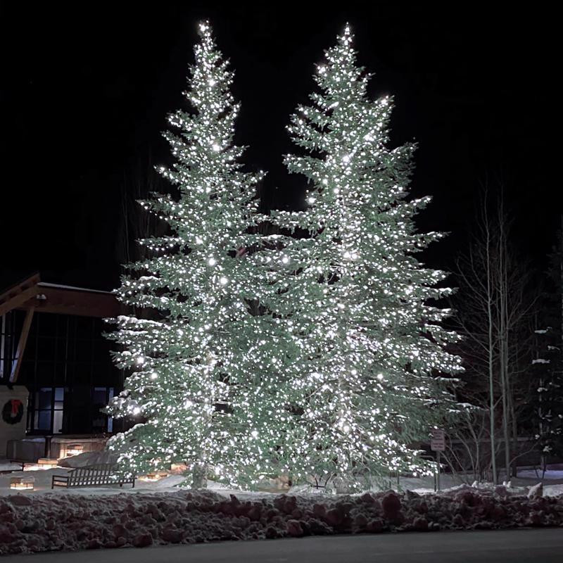 Celebrations Platinum LED Mini Pure White 50 ct String Christmas Lights 25 ft.