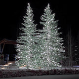 Celebrations Platinum LED Mini Pure White 50 ct String Christmas Lights 25 ft.