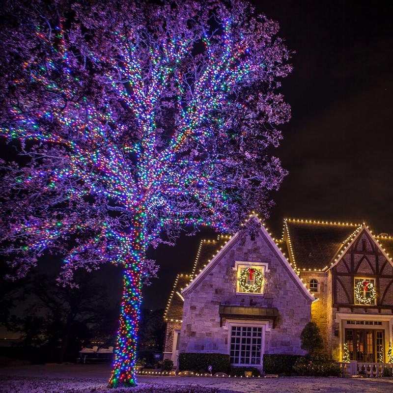 Celebrations Platinum LED T5 Multicolored 50 ct String Christmas Lights 25 ft.