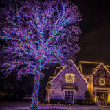 Celebrations Platinum LED T5 Multicolored 50 ct String Christmas Lights 25 ft.