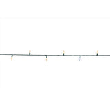 Celebrations Platinum LED C6 Warm White 50 ct String Christmas Lights 25 ft.