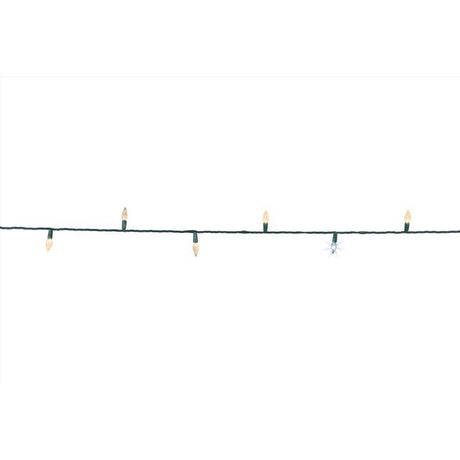 Celebrations Platinum LED C6 Warm White 50 ct String Christmas Lights 25 ft.