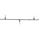 Celebrations Platinum LED C6 Warm White 50 ct String Christmas Lights 25 ft.
