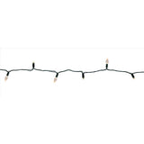 Celebrations Platinum LED C6/Mini Warm White 50 ct String Christmas Lights 25 ft.