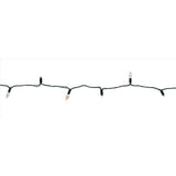 Celebrations Platinum LED C6 White 50 ct String Christmas Lights 25 ft.