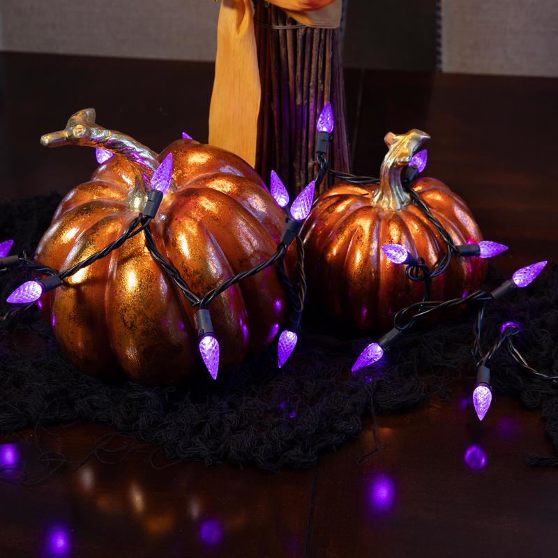 Celebrations Purple 100 ct LED C6 Halloween String Lights
