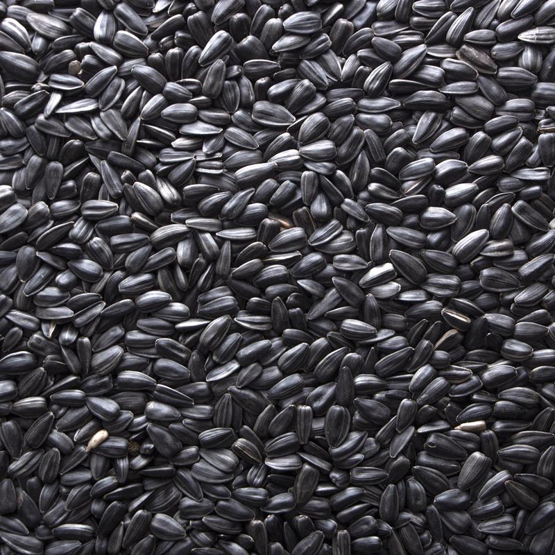 Meadow Ridge Farms Wild Bird Food 40 lb