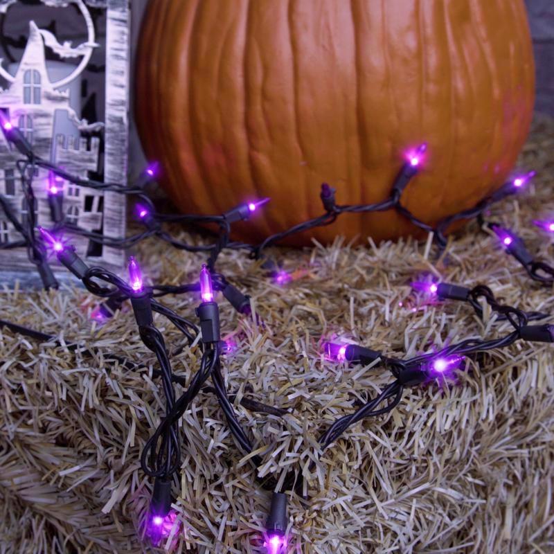 Celebrations Purple 100 ct LED Mini Halloween String Lights