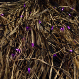 Celebrations Purple 100 ct LED Mini Halloween String Lights