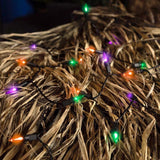 Celebrations Multicolored 100 ct LED Mini Halloween String Lights