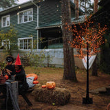 Celebrations Orange/Purple 350 ct 5 ft. LED Prelit Spooky Tree Yard Decor