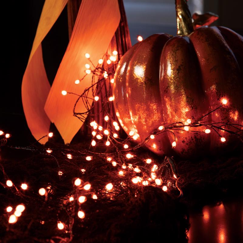 Celebrations Orange 250 ct 3 in. LED Prelit Connectable Big Seed Cluster Halloween Lights