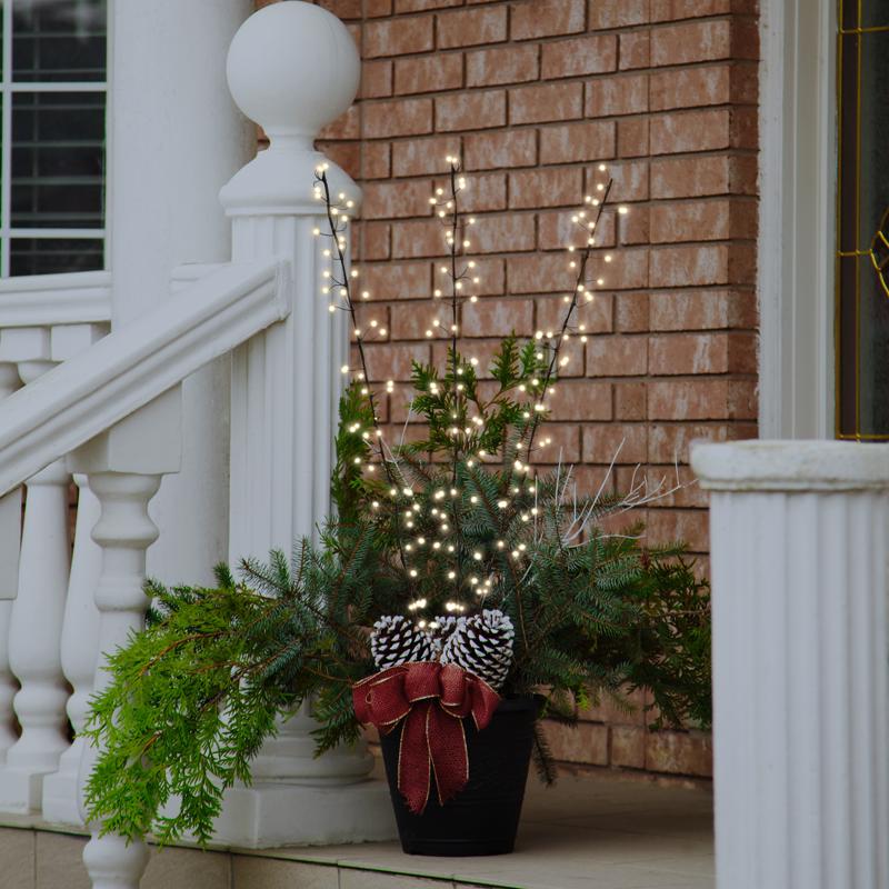 Celebrations LED Warm White Lighted Branches 38 in. Yard Decor, Pack of 6