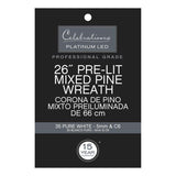 Celebrations Platinum 26 in. D LED Prelit Pure White Pine Wreath