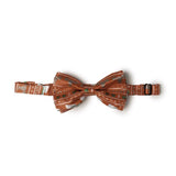 Lotsa Lights LED Multicolor Christmas Bow 5 in., Pack of 24