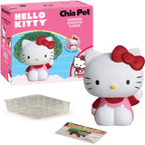 Chia Pet Hello Kitty Planter 1 pk