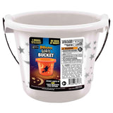 Shawshank LEDz Light Up Witch Bucket Bucket 1 pk, Pack of 12