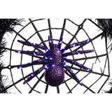 Celebrations Orange/Purple 65 ct 24 in. LED Prelit Black Spider Wreath, Pack of 4