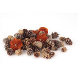 Second Nature Pinecones and Velvet Orange Pumpkins Halloween Decor, Pack of 20