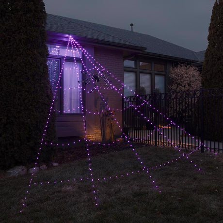 Celebrations Orange/Purple 496 ct 16 ft. LED Prelit Web Hanging Decor