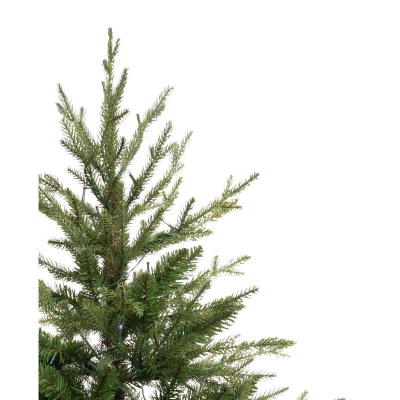 Celebrations 3 ft. Full LED 50 ct Fraser Fir Potted Color Changing Porch Bush