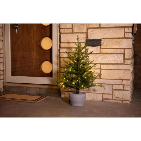 Celebrations 3 ft. Full LED 50 ct Fraser Fir Potted Color Changing Porch Bush
