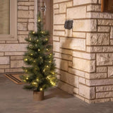 Celebrations 3 ft. Slim LED 50 ct Table Top with Wood Base Color Changing Christmas Tree