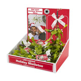 Gerson Mistletoe Branch with Warm White LED Lights Hanger 12 in., Pack of 24