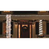 Celebrations LED Mini Clear 200 ct String Christmas Lights 9 ft., Pack of 12