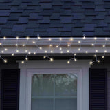 Celebrations Classic LED T5 Warm White 100 ct Icicle Christmas Lights 6 ft.