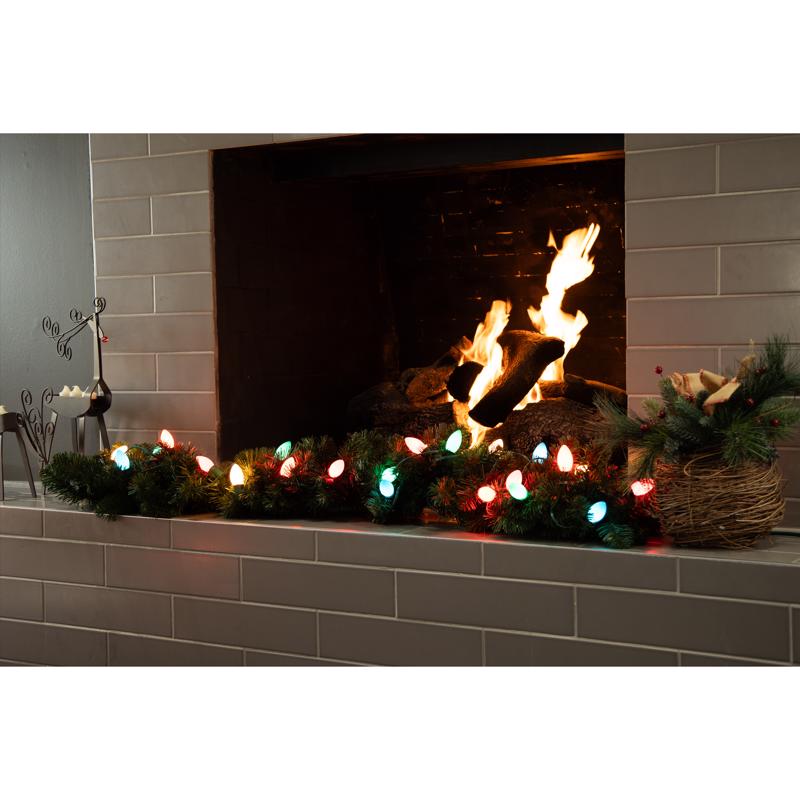 Celebrations Classic LED C9 Multicolored 25 ct String Christmas Lights 24 ft.