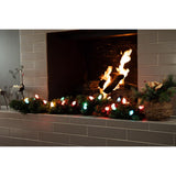 Celebrations Classic LED C9 Multicolored 25 ct String Christmas Lights 24 ft.