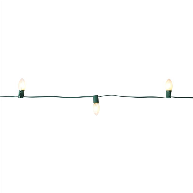 Celebrations Classic LED C9 Warm White 25 ct String Christmas Lights 24 ft.