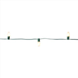 Celebrations Classic LED C9 Warm White 25 ct String Christmas Lights 24 ft.