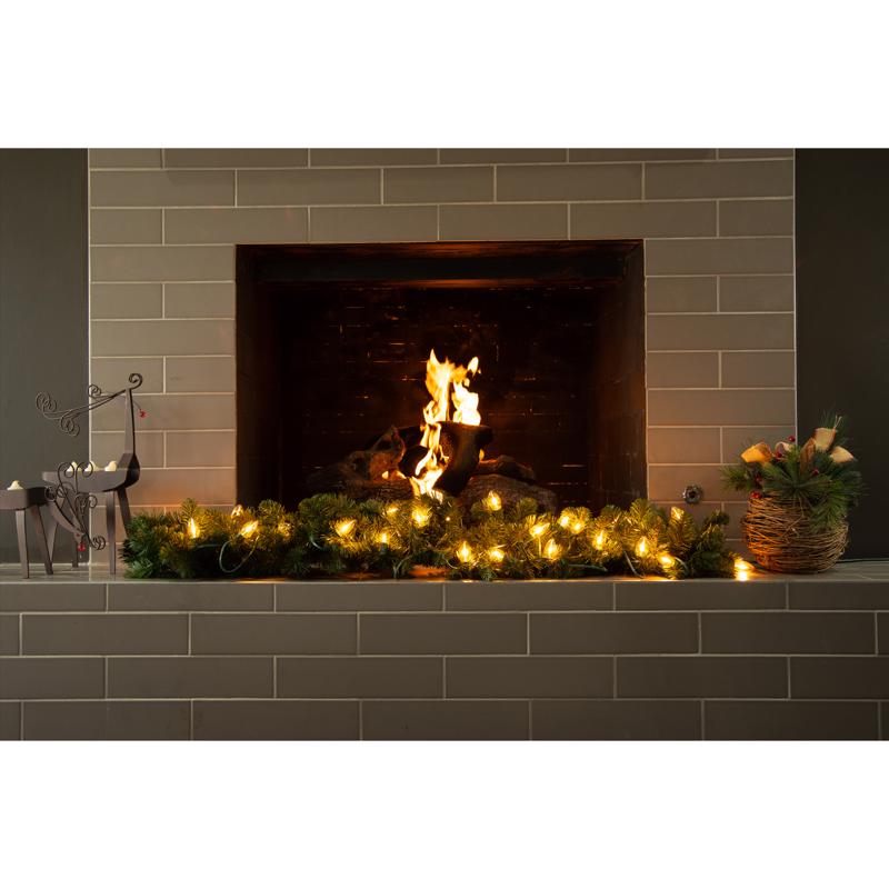 Celebrations Classic LED C9 Warm White 25 ct String Christmas Lights 24 ft.