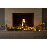 Celebrations Classic LED C9 Warm White 25 ct String Christmas Lights 24 ft.